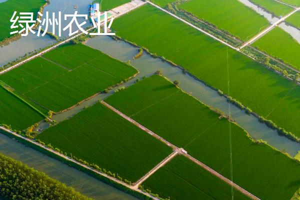 河谷农业和绿洲农业和灌溉农业的区别