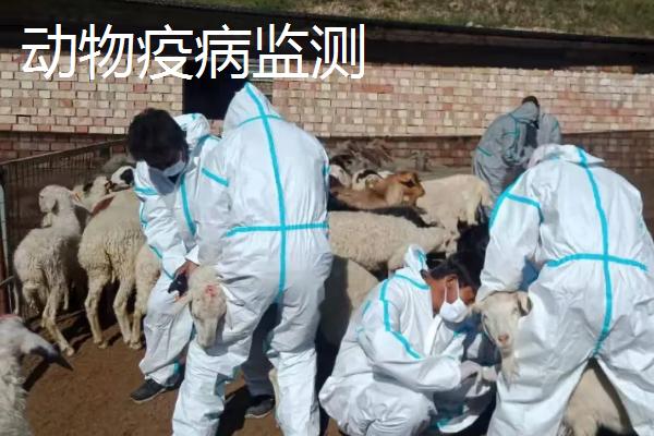 动物检疫和疫病监测的区别