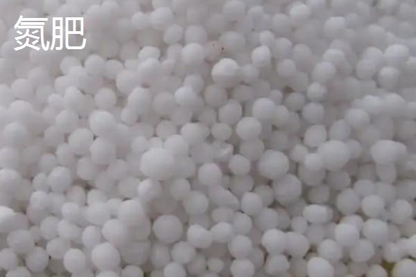 氮钾磷肥分别作用什么