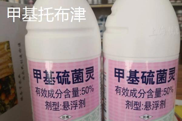 甲基托布津和多菌灵有什么区别?