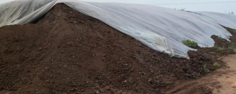 狗粪能当肥料种菜吗，种菜用什么有机肥好