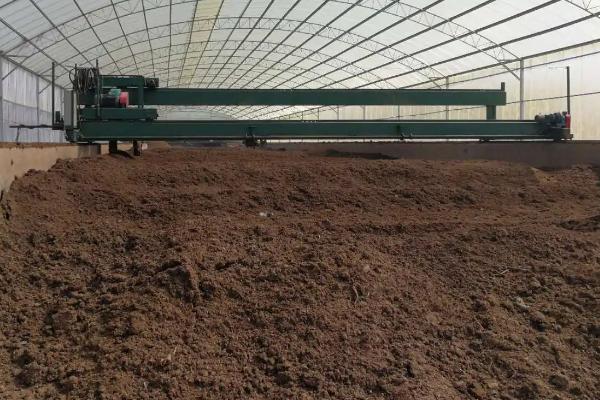 狗粪能当肥料种菜吗,种菜用什么有机肥好