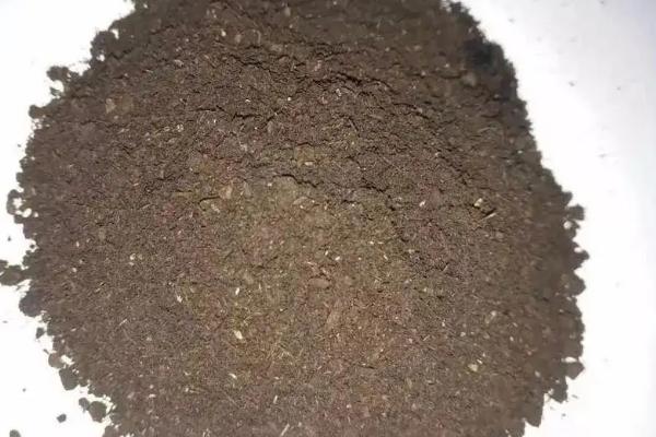 狗粪能当肥料种菜吗,种菜用什么有机肥好