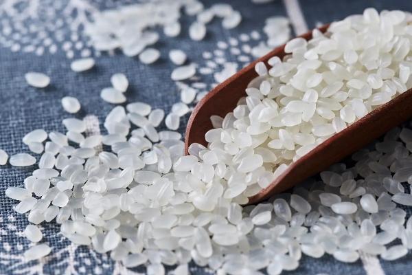 大米标准,gb18824等级是什么意思