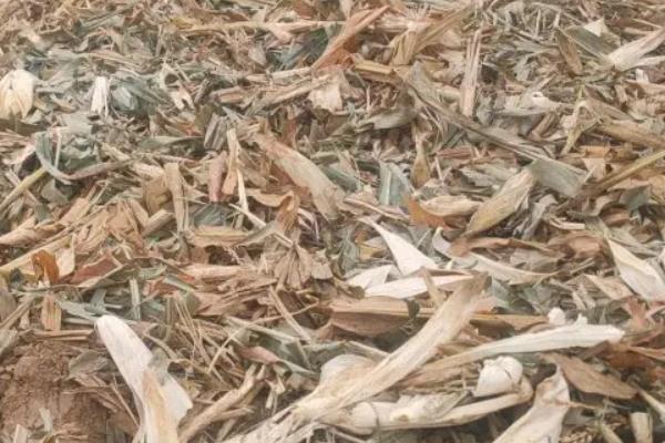 养羊的饲料,附养殖方法