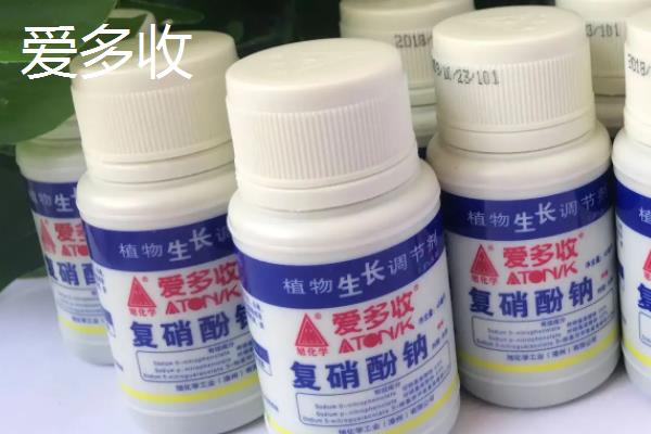 碧护与爱多收的区别