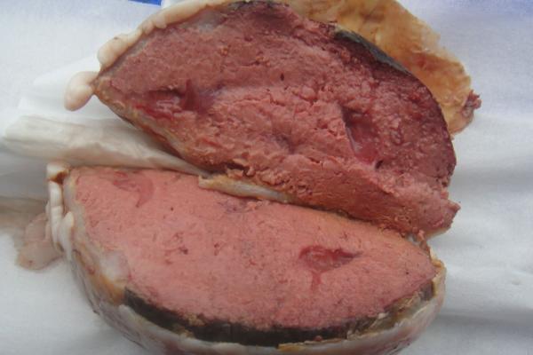 猪砂是什么,猪的脚印像什么