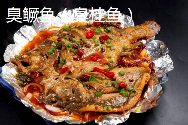 臭鳜鱼和臭桂鱼的区别