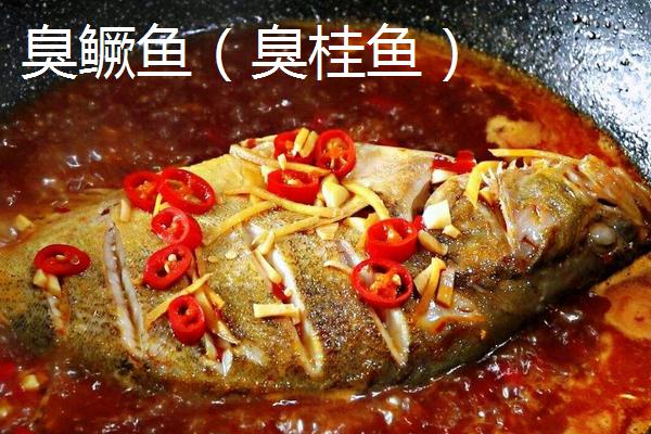 臭鳜鱼和臭桂鱼的区别