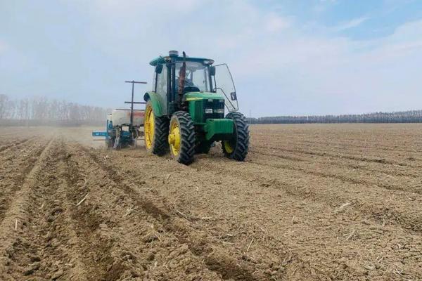 玉米一年可以种几次,附种植方法