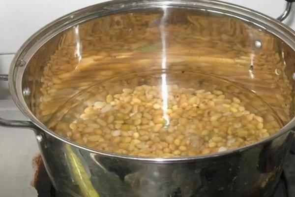 黄豆发酵多长时间可以浇花,黄豆发酵做肥料步骤