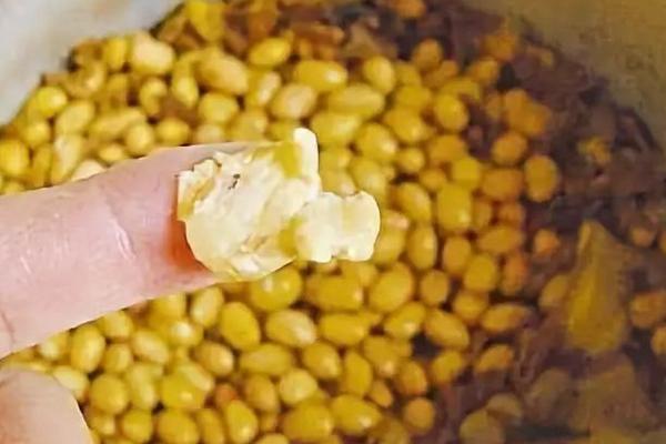 黄豆发酵多长时间可以浇花,黄豆发酵做肥料步骤