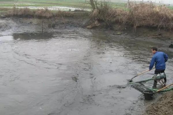 鲤鱼的特点和生活特征，附鲤鱼的养殖方法