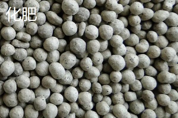 复合肥和化肥有什么区别