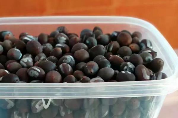 碗莲荷花种子怎么种,几月份种植合适