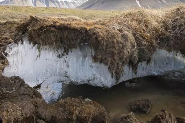 冻土怎么挖坑,冻土是什么意思