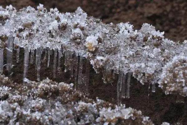 冻土怎么挖坑,冻土是什么意思