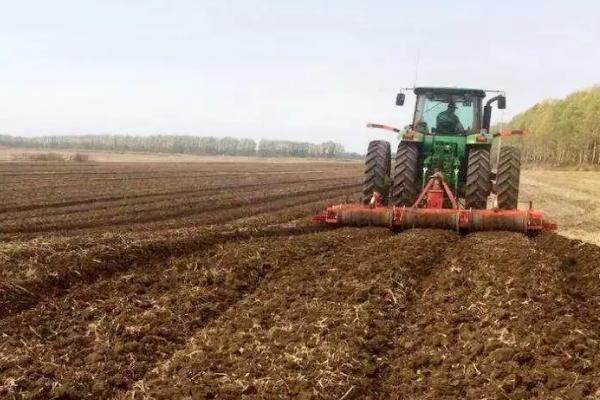 芹菜亩产,附种植方法