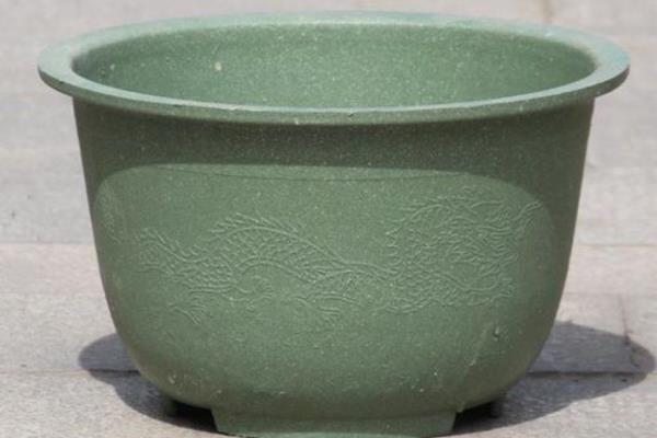 盆栽刺梨怎么养,几月份成熟