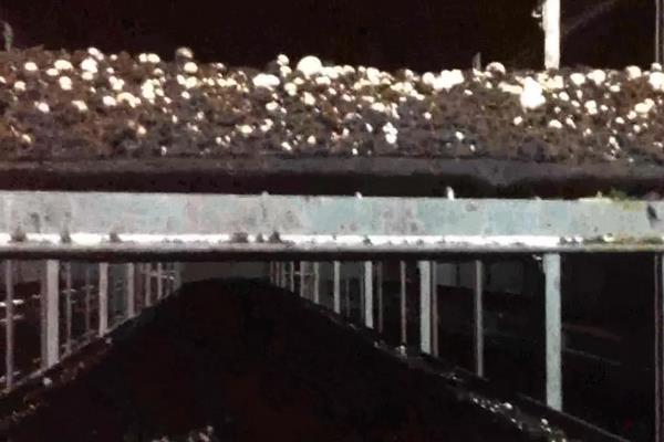 蘑菇种植技术,蘑菇菌包里面有些什么