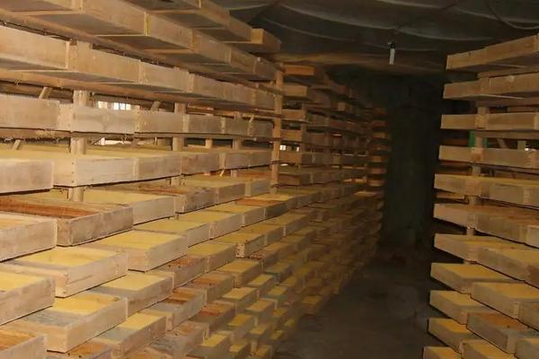 黄粉虫养殖技术与种苗,如何繁殖