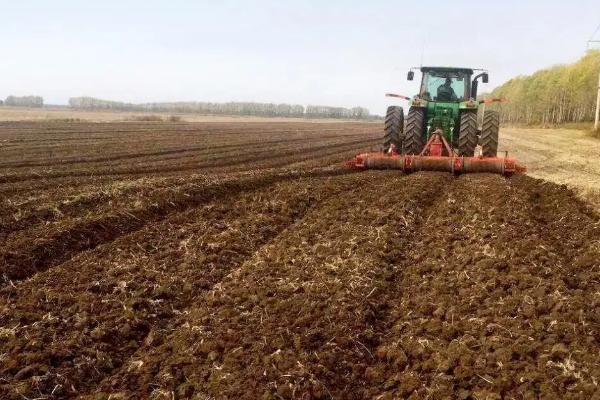 吊瓜的种植方法及管理办法