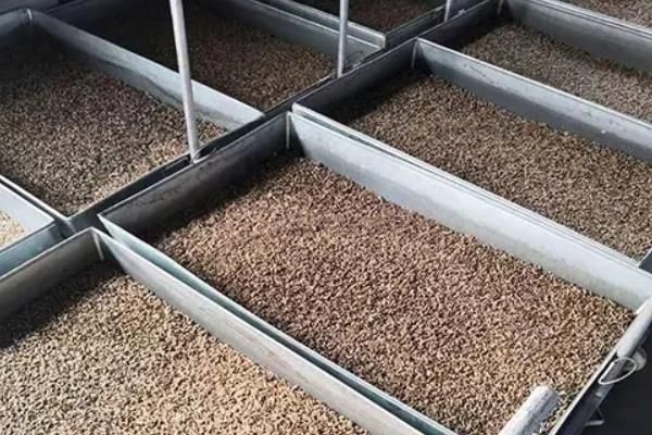 黑水虻怎么养殖,黑水虻卵存放温度