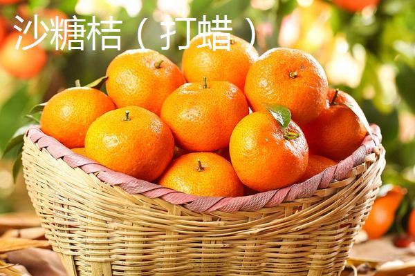 沙糖桔打蜡和不打蜡的区别