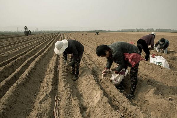 山药种植方法，山药什么时候种