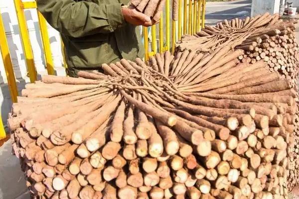 山药亩产量一般能达到多少,附种植方法与时间