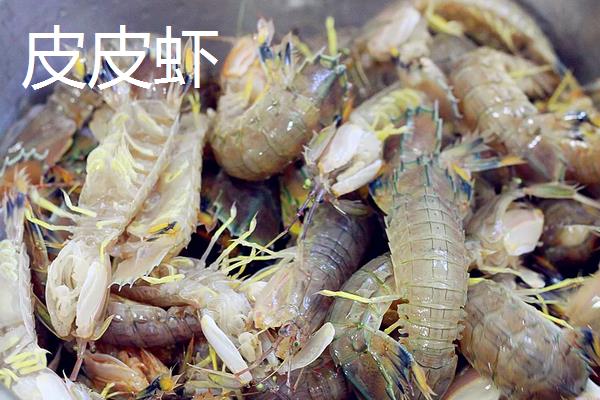 虾养殖技术，虾的种类