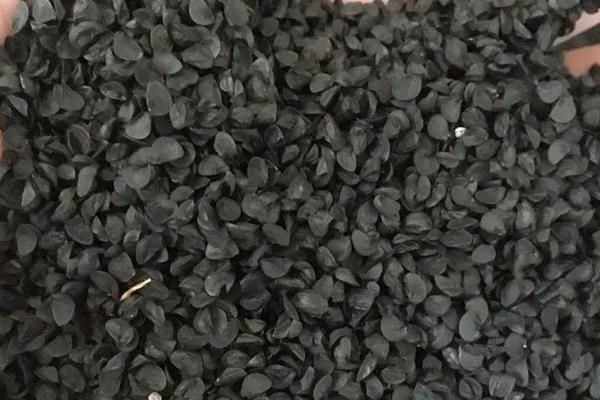 小葱亩产量一般是多少公斤,附种植技术