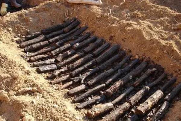 天麻的栽培与种植技术,几年才能收获