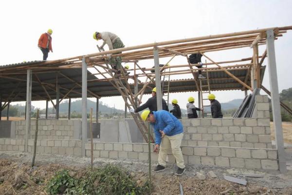 旱鸭子养殖技术,与普通鸭子有什么区别
