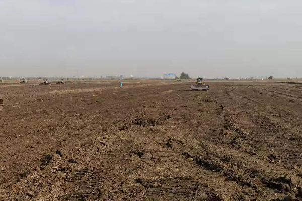 小葱亩产量一般是多少公斤,附种植技术