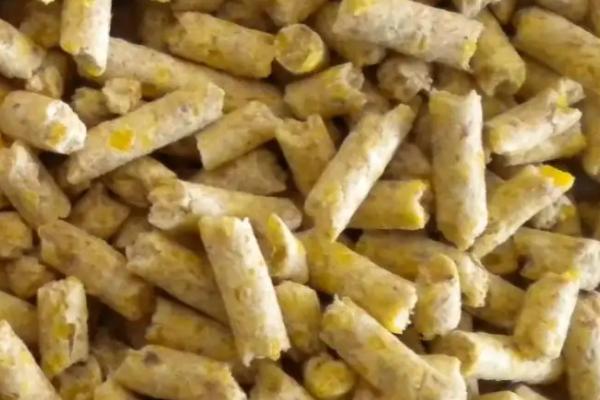 怎么养羊，附养羊的特点