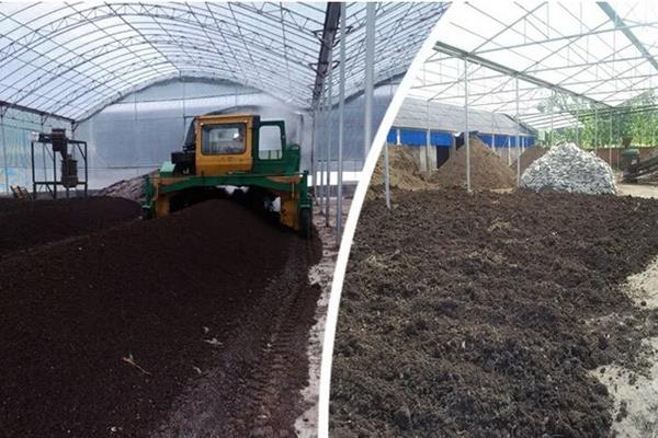 有机蔬菜大棚种植技术，蔬菜大棚是如何进行热传递的