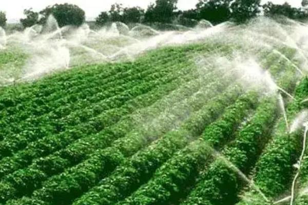 农业种植技术知识,农作物种植包括哪些