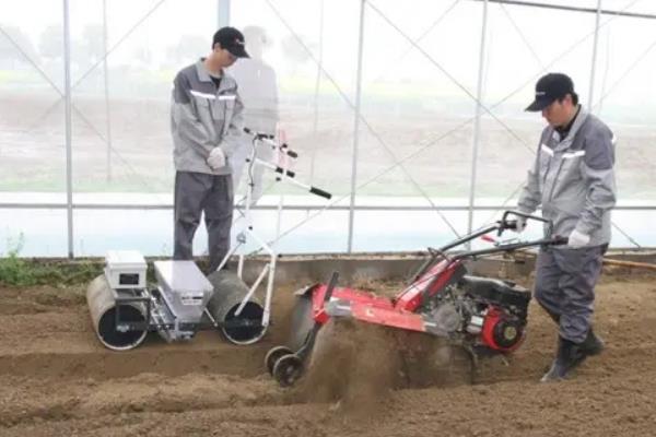 农业种植技术知识,农作物种植包括哪些