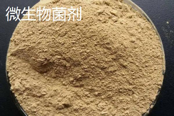 微生物菌剂和生物有机肥的区别
