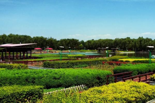 现代农业发展模式主要包括哪些