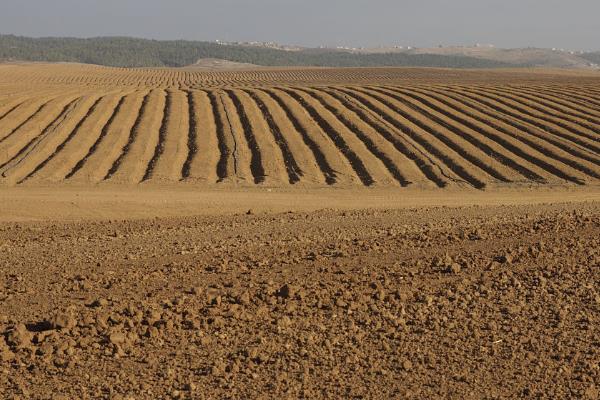 现代农业发展模式主要包括哪些