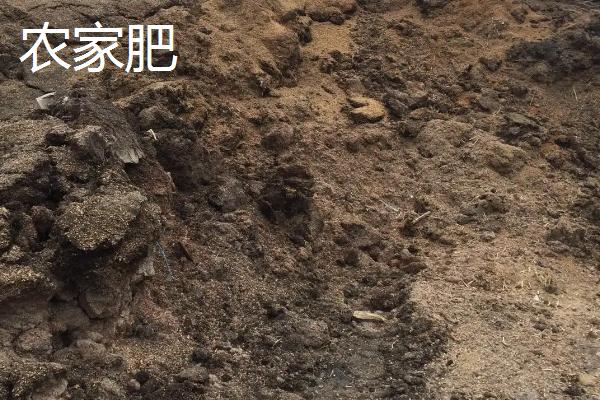 有机肥和农家肥的区别