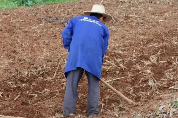 整地的基本步骤,整地的方法有几种