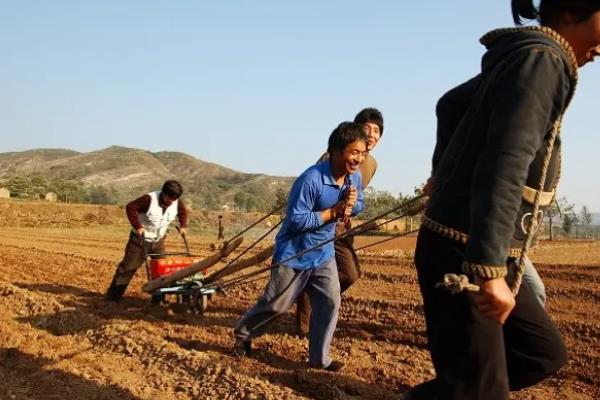 整地的基本步骤,整地的方法有几种