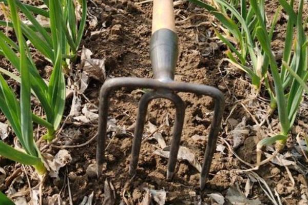 整地的基本步骤,整地的方法有几种