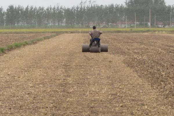 整地的基本步骤,整地的方法有几种
