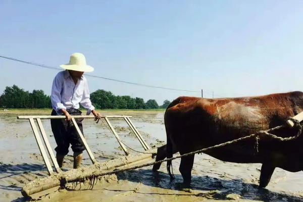 整地的基本步骤,整地的方法有几种