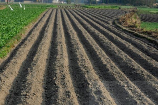 整地的基本步骤,整地的方法有几种