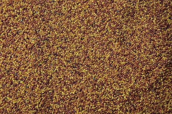 一斤草籽能种多少面积，草籽的种植方法